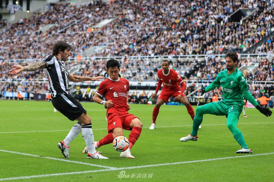 球爱好者的 球爱好者的