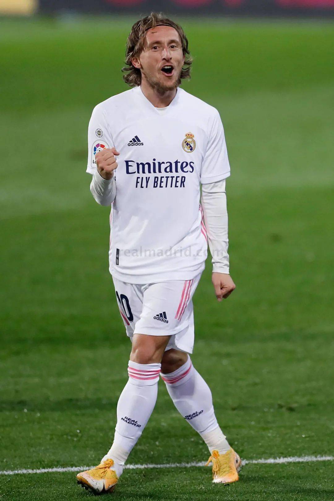 色于竞争对 色于竞争对